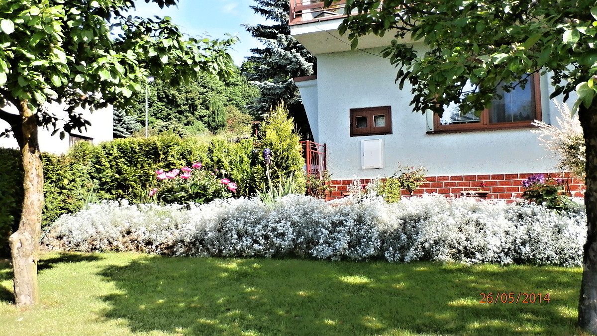 P5260041