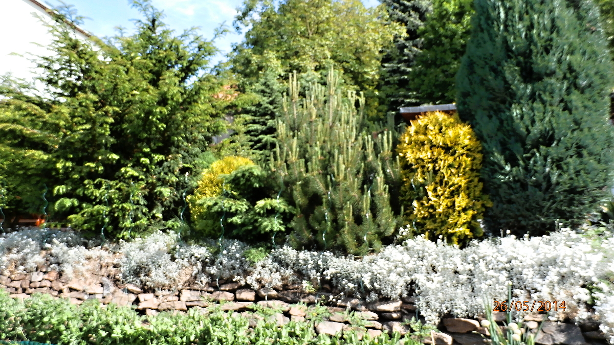 P5260053