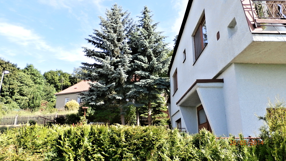 P5260063