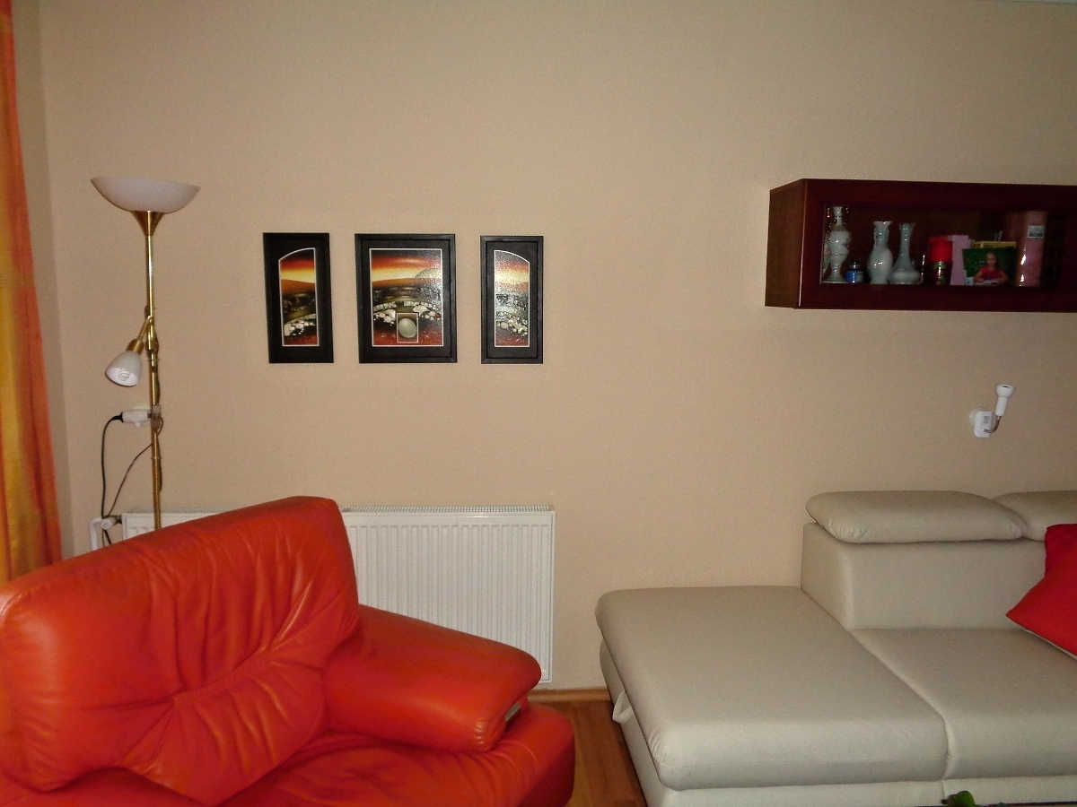 DSC00460